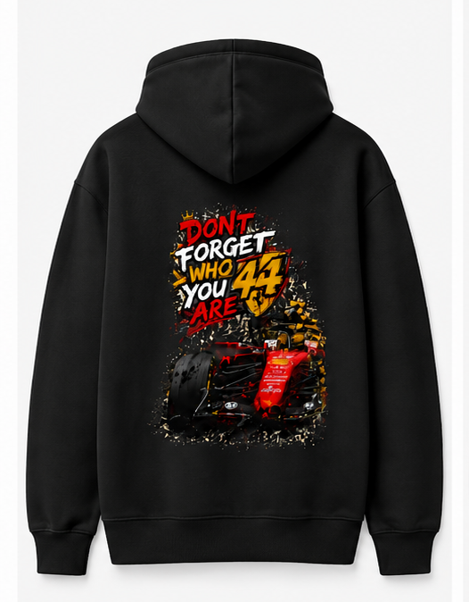 Formula 1 L Hamilton Don't Forget who are you 44 Hoodie Back