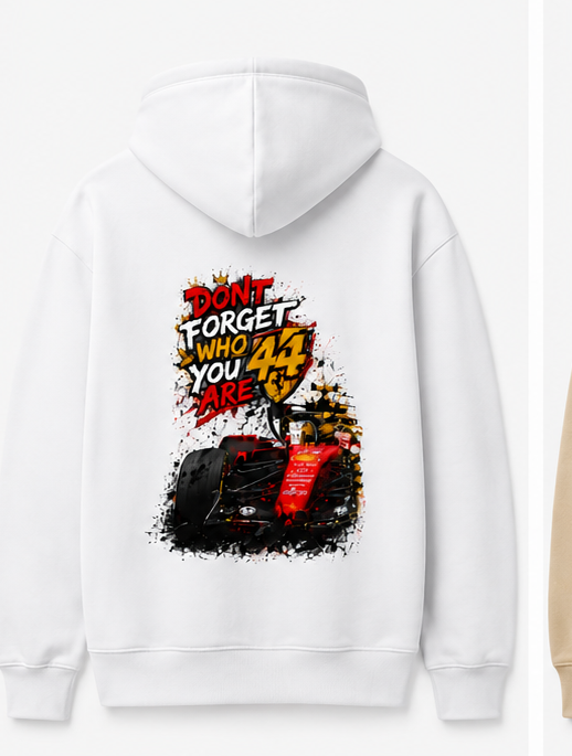 Formula 1 L Hamilton Don't Forget who are you 44 Hoodie Back