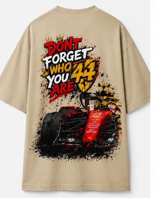 L Hamilton Don't Forget Who you are Formula 1 Oversized T-shirt